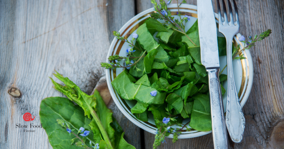 Corso sulle erbe spontanee